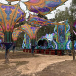 Artikel Modellprojekte